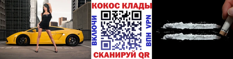 COCAIN Fish Scale  дарк нет формула  Новосокольники  сколько стоит 