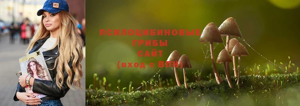 молекула духа Аркадак