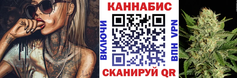 купить   Новосокольники  Бошки марихуана SATIVA & INDICA 